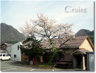 hanami-15.jpg