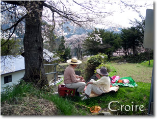 hanami-6.jpg
