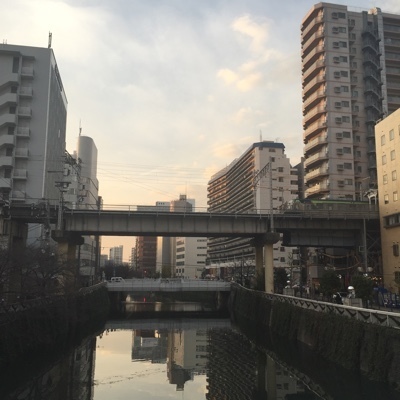image.jpeg