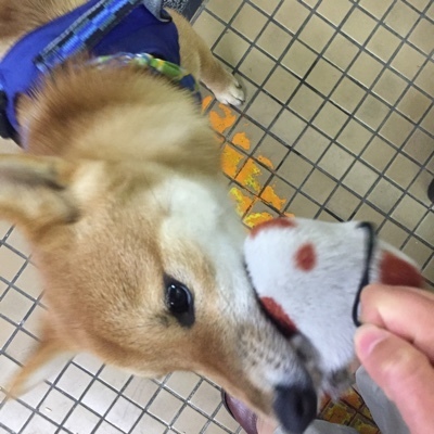 image.jpeg