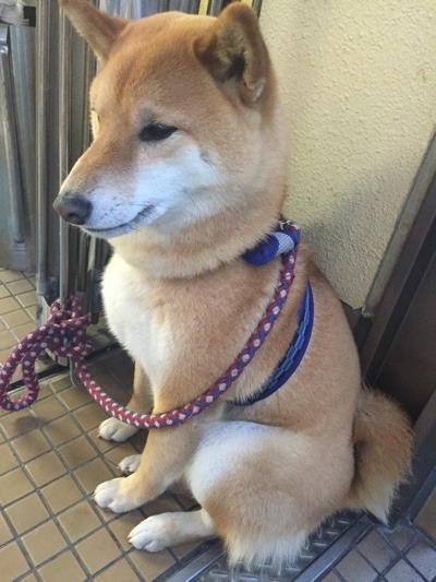image.jpeg