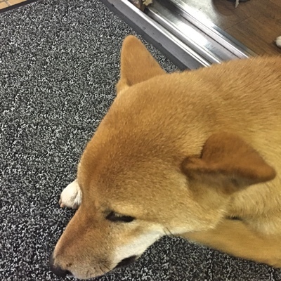 image.jpeg