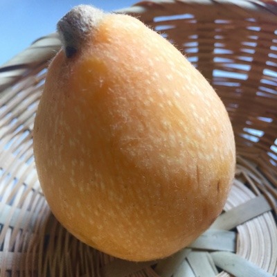image.jpeg