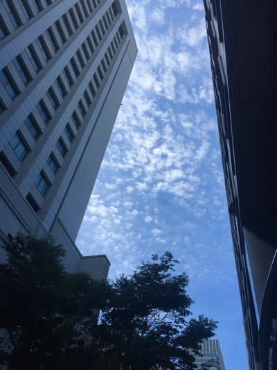 image.jpeg