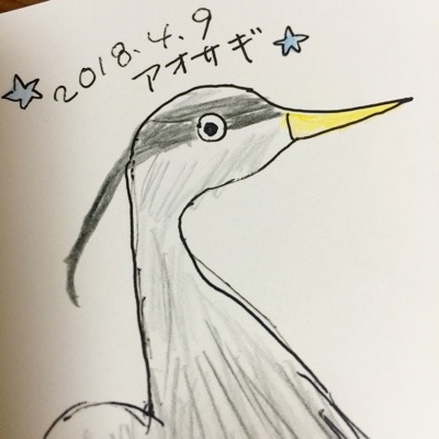 image.jpeg