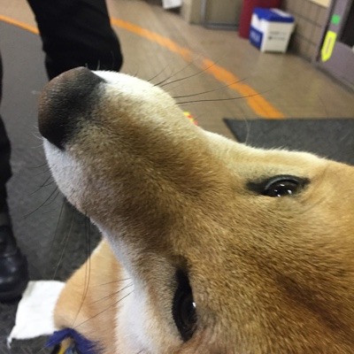 image.jpeg
