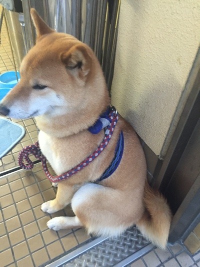 image.jpeg