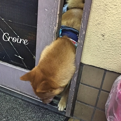 image.jpeg