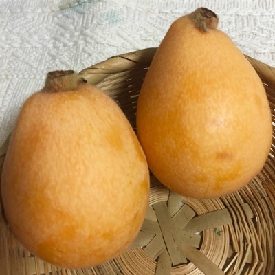 image.jpeg