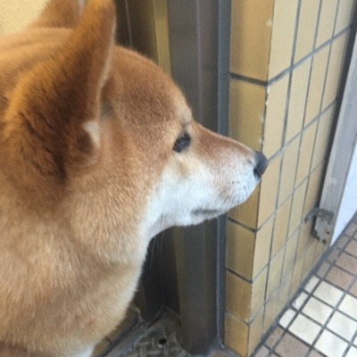 image.jpeg