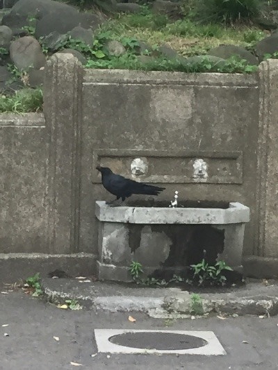 image.jpeg
